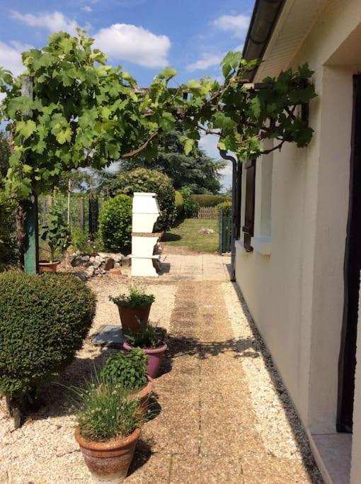 Grande Vue A Little Bit Of French Tranquillity Vila Floirac  Exterior foto