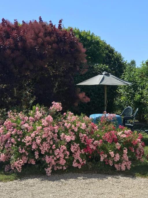 Grande Vue A Little Bit Of French Tranquillity Vila Floirac  Exterior foto