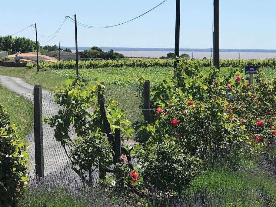 Grande Vue A Little Bit Of French Tranquillity Vila Floirac  Exterior foto